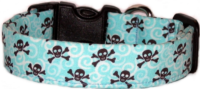 Mini Skulls on Aqua Dog Collar